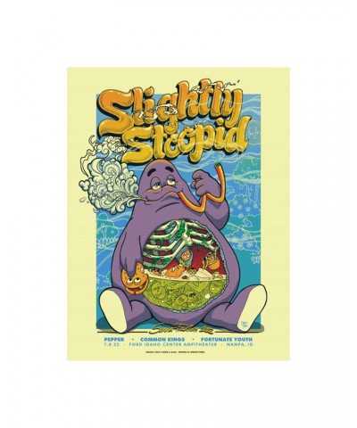 Slightly Stoopid 7/08 Nampa ID SHOW POSTER - Regular & Foil $18.00 Decor