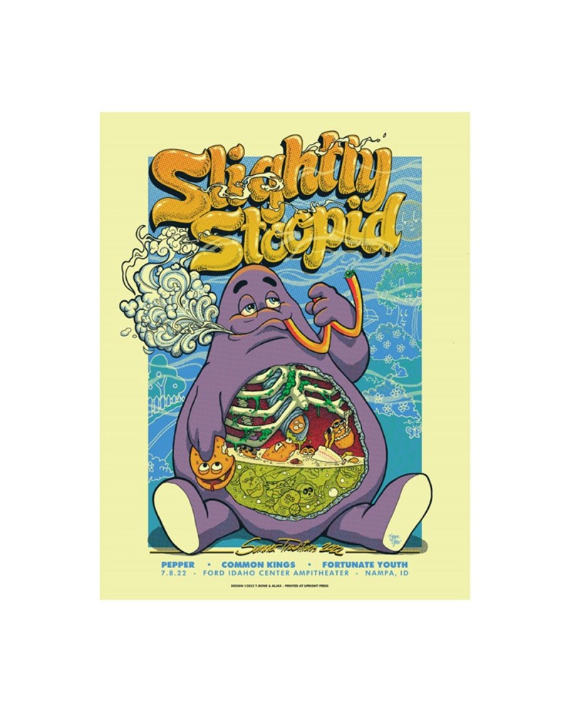 Slightly Stoopid 7/08 Nampa ID SHOW POSTER - Regular & Foil $18.00 Decor