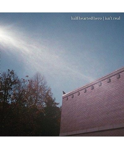 Half Hearted Hero Isn't Real Vinyl Record $6.80 Vinyl